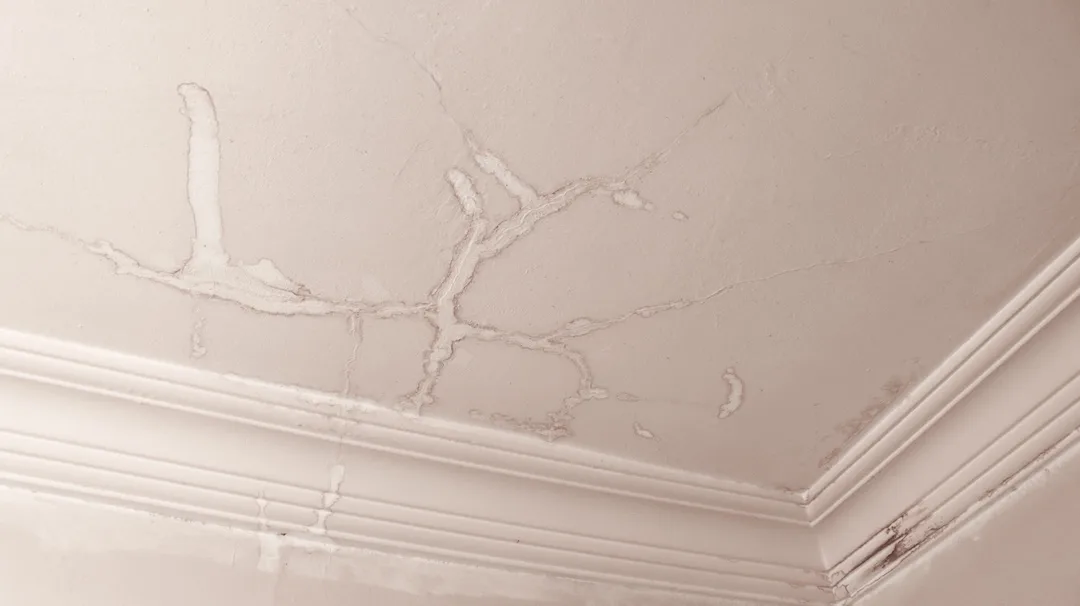 Dirty interior ceiling after water leak and moisture. Interior ceiling stained from water damage